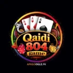 Qaidi804 Game