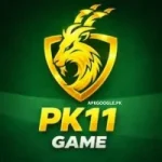 PK11 Game