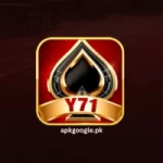 Y71 Game