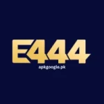 E444 Game